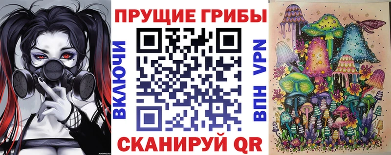 Псилоцибиновые грибы Psilocybe  Высоцк 