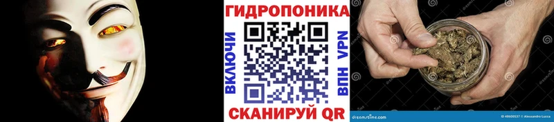 Шишки марихуана MAZAR  Высоцк 